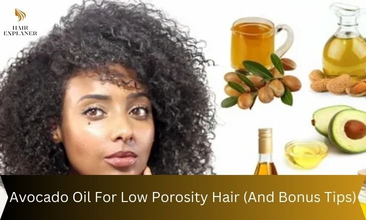 Avocado Oil For Low Porosity Hair